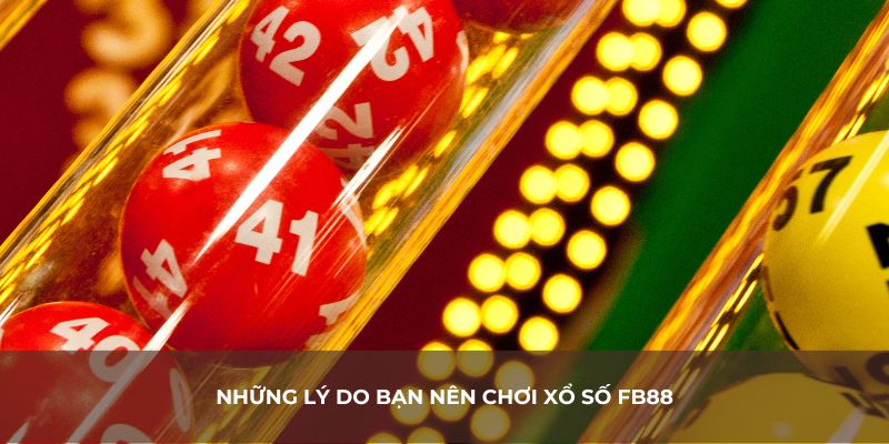 Những lý do bạn nên chơi xổ số FB88 để thu về lợi nhuận cao