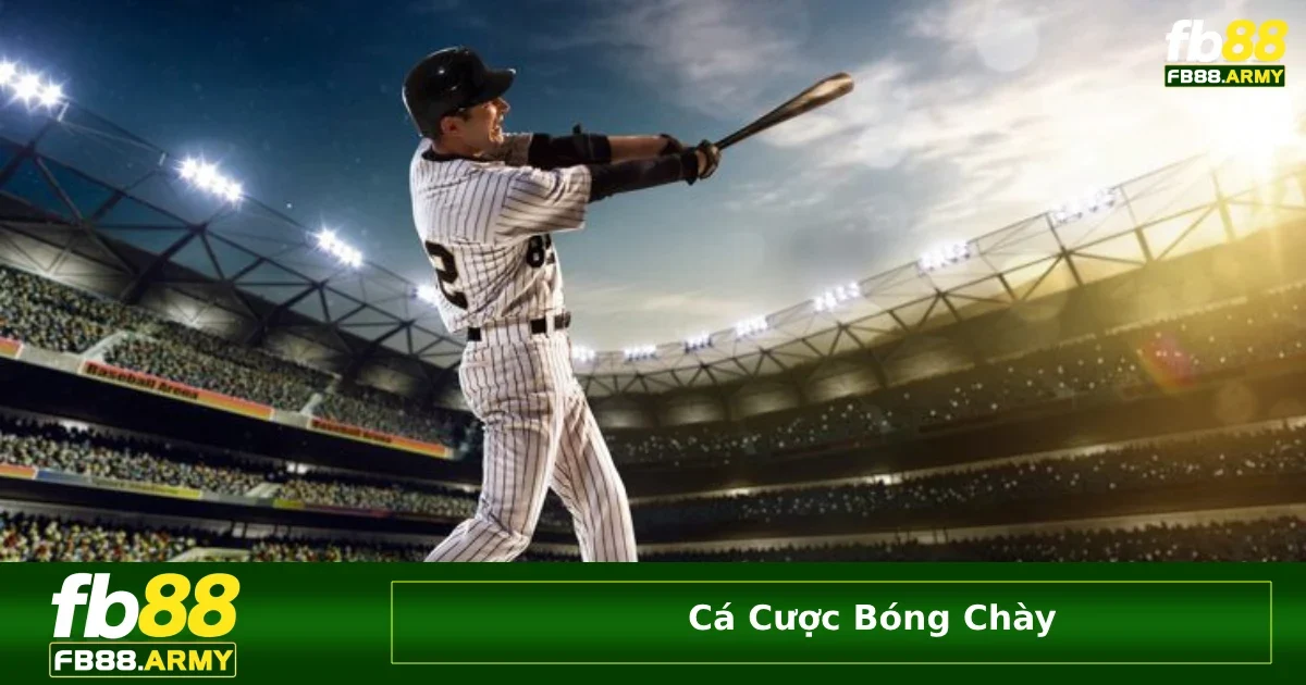 Chi tiết về luật và cách chơi cá cược bóng chày cơ bản