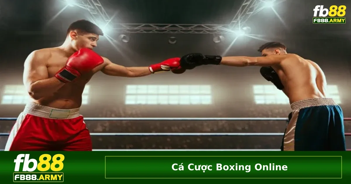 Một số hình thức cược boxing phổ biến nhất hiện nay
