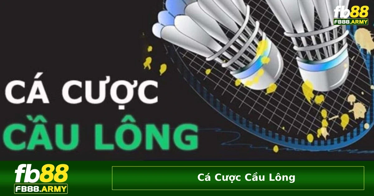 Những thông tin về cá cược cầu lông và các giải đấu phổ biến